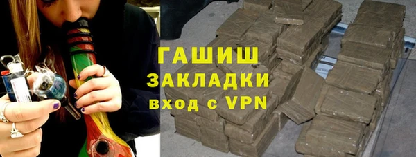 хмурый Алексин
