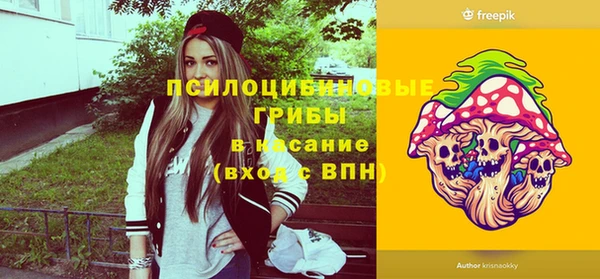 шишки Россошь